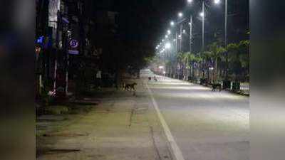 Night Curfew In Mirzapur: मिर्जापुर में कोरोना का कहर, जिलाधिकारी ने किया नाइट कर्फ्यू का ऐलान