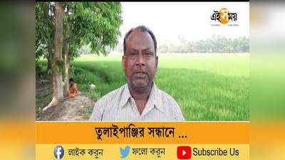 তুলাইপাঞ্জির সন্ধানে 