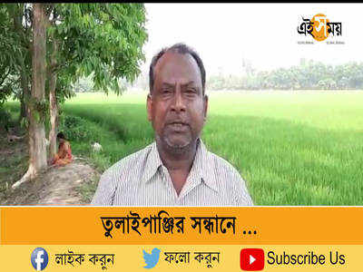 তুলাইপাঞ্জির সন্ধানে 