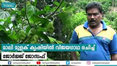 മാലി മുളക് കൃഷിയില്‍ വിജയഗാഥ രചിച്ച് ജോര്‍ജ്ജ് ജോസഫ്