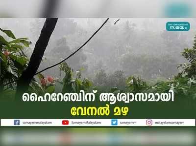 ഹൈറേഞ്ചിന് ആശ്വാസമായി വേനല്‍ മഴ 