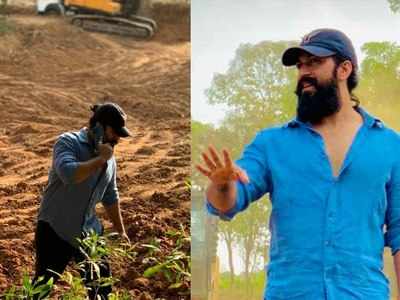 Yash: ರಾಕಿ ಭಾಯ್ ಈಗ ಅಪ್ಪಟ ಮಣ್ಣಿನ ಮಗ! ಕೃಷಿ ಕೆಲಸಗಳಿಗೆ ಚಾಲನೆ ಕೊಟ್ಟ ನಟ ಯಶ್‌