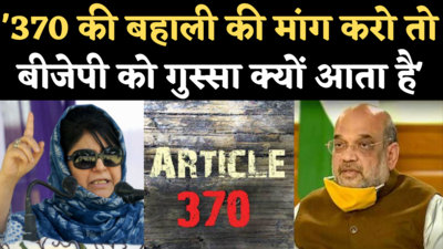 Mehbooba Mufti on Article 370: जो छीना है, सूद समेत लौटना होगा, अनुच्छेद 370 की बहाली पर बोलीं महबूबा