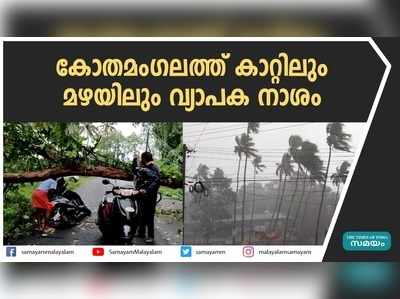 കോതമംഗലത്ത് കാറ്റിലും മഴയിലും വ്യാപക നാശം