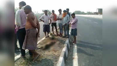 Gopalganj News: हादसे में अजीब से जंगली जानवर की मौत के बाद हड़कंप, ग्रामीण जता रहे ये आशंका
