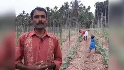 കാലാവസ്ഥ മാറിമറിയുന്നു; വയനാട്ടിലെ പച്ചക്കറി കൃഷിയും പ്രതിസന്ധിയില്‍, വീഡിയോ കാണാം