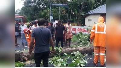 നെല്ലിമറ്റത്ത് കനത്ത മഴയും കാറ്റും.... ദേശീയ പാതയില്‍ ഗതാഗത തടസം, വീഡിയോ കാണാം