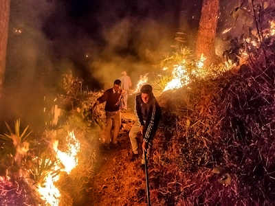 ब्लॉगः क्यों बेकाबू है उत्तराखंड के जंगल की आग