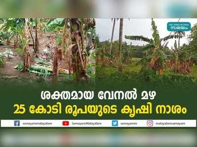 ശക്തമായ വേനൽ മഴ; 25 കോടി രൂപയുടെ കൃഷി നാശം