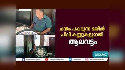 പൂരപ്രേമികളുടെ ആരവത്തോടൊപ്പം ആനപ്പുറത്തെ ആലവട്ടവും... വീഡിയോ കാണാം