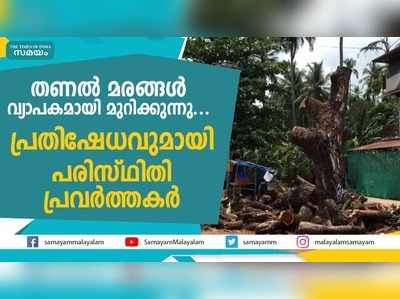 തണല്‍ മരങ്ങള്‍ വ്യാപകമായി മുറിക്കുന്നു... പ്രതിഷേധവുമായി പരിസ്ഥിതി പ്രവര്‍ത്തകര്‍