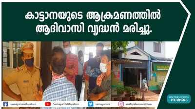 കാട്ടാനയുടെ ആക്രമണത്തിൽ ആദിവാസി വൃദ്ധൻ മരിച്ചു