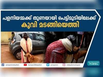 പളനിയമ്മക്ക് തുണയായി പെട്ടിമുടിയിലേക്ക് കുവി മടങ്ങിയെത്തി