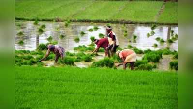 ఏపీలో రైతులకు తీపి కబురు.. రేపు అకౌంట్లలో డబ్బు జమ