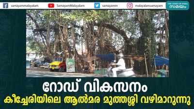 റോഡ് വികസനം; കീച്ചേരിയിലെ ആൽമര മുത്തശ്ശി വഴിമാറുന്നു