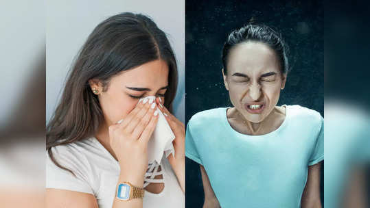 allergic rhinitis: തുമ്മലും തൊണ്ടകടിയും, ഇതാണ് കാരണവും പരിഹാരവും....