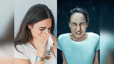 allergic rhinitis: തുമ്മലും തൊണ്ടകടിയും, ഇതാണ് കാരണവും പരിഹാരവും....