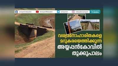 അയ്യപ്പൻകോവിൽ തൂക്കുപാലം....  വേനലിലും മഴയിലും സഞ്ചാരികളെ ആകർഷിക്കുന്ന ടൂറിസം കേന്ദ്രം, വീഡിയോ കാണാം