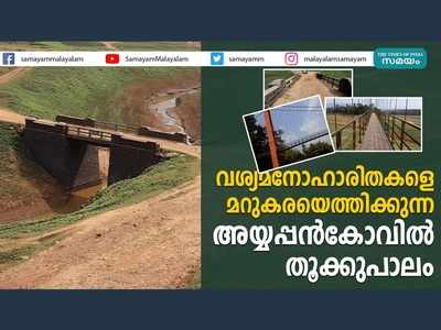 അയ്യപ്പൻകോവിൽ തൂക്കുപാലം....  വേനലിലും മഴയിലും സഞ്ചാരികളെ ആകർഷിക്കുന്ന ടൂറിസം കേന്ദ്രം, വീഡിയോ കാണാം