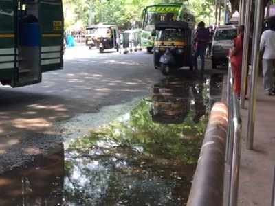 കുളമായി മിഠായിത്തെരുവ് ബസ് സ്റ്റോപ്പിന് മുൻവശം; മൂക്കുപൊത്തി യാത്രക്കാര്‍! വീഡിയോ കാണാം