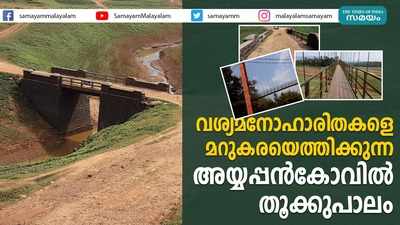 വശ്യമനോഹാരിതകളെ മറുകരയെത്തിക്കുന്ന  അയ്യപ്പൻകോവിൽ തൂക്കുപാലം