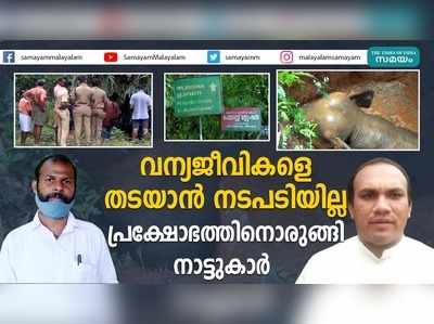 വന്യജീവികളെ തടയാൻ നടപടിയില്ല; പ്രക്ഷോഭത്തിനൊരുങ്ങി നാട്ടുകാർ