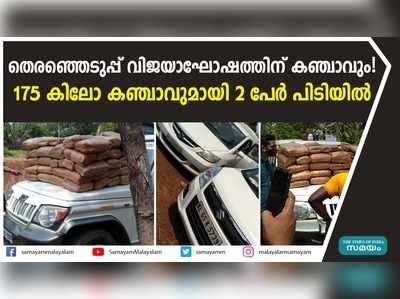 തെരഞ്ഞെടുപ്പ് വിജയാഘോഷത്തിന് കഞ്ചാവും!  175 കിലോ കഞ്ചാവുമായി 2 പേര്‍ പിടിയിൽ