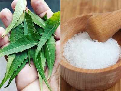 कोविड काल में रोगों से बचाएगी Neem, शक्‍कर या मिश्री के साथ खाएंगे तो बढ़ेगी Immunity