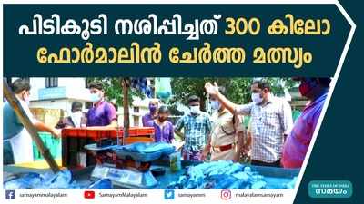 പിടികൂടി നശിപ്പിച്ചത് 300 കിലോ ഫോർമാലിൻ ചേർത്ത മത്സ്യം