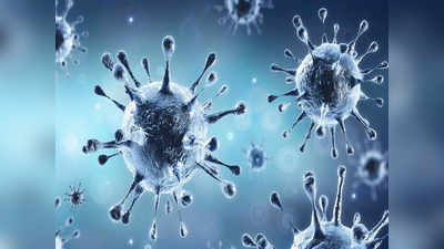 Bihar Coronavirus Update : 24 घंटे में मिले 10,455 कोरोना संक्रमित मरीज, 3577 ने दी कोरोना को मात