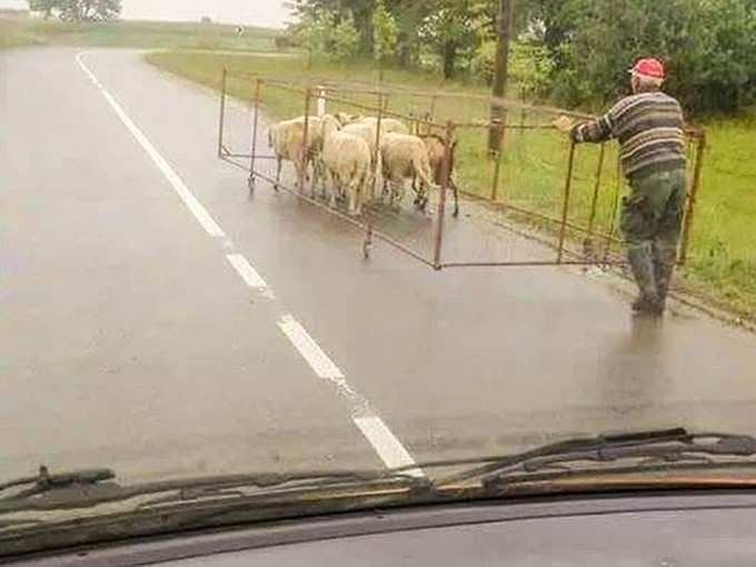 सही दिमाग लगया है...