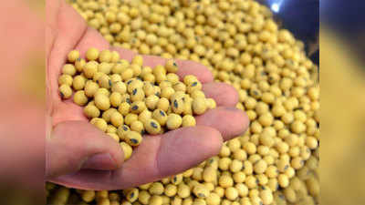 Soybean Future trade सोयाबीन वायदे बाजारावर बंदी? शेतकरी संघटनेची सेबीकडे धाव, केली ही मागणी