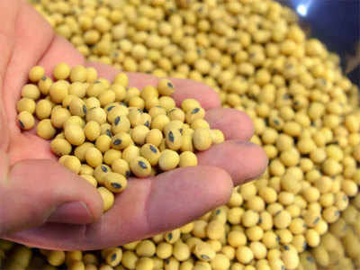 Soybean Future trade सोयाबीन वायदे बाजारावर बंदी? शेतकरी संघटनेची सेबीकडे धाव, केली ही मागणी