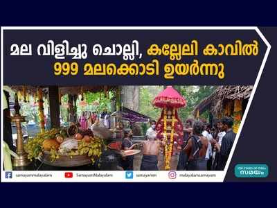 കര്‍ണ്ണികാരം കാടിനെ പൊന്നണിയിച്ചു;  മല വിളിച്ചു ചൊല്ലി, കല്ലേലി കാവില്‍  999 മലക്കൊടി ഉയര്‍ന്നു, വീഡിയോ കാണാം