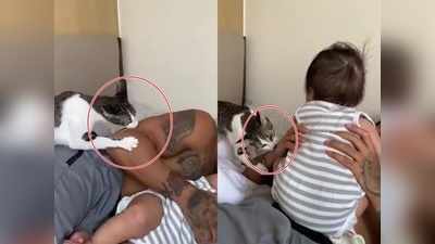 बिल्ली का प्यार देखिए... रोती हुई छोटी बच्ची को छुड़ाने के लिए अपने ही मालिक पर कर दिया अटैक