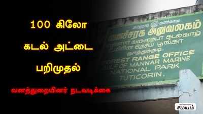 இலங்கைக்கு கடத்த பதுக்கி வைக்கப்பட்ட 100 கீலோ கடல் அட்டை பறிமுதல்