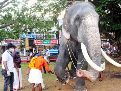 കുറുമ്പുലേശം കൂടുതല്‍; തൃശൂര്‍ പൂരം എഴുന്നെള്ളിപ്പില്‍ നിന്നും രണ്ട് ആനകളെ പുറത്താക്കി