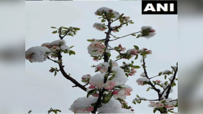 Uttarakhand weather : हिमाचल और उत्तराखंड में जमकर बर्फबारी, देखें तस्वीरें...कैसे दूर-दूर तक फैली सफेद चादर