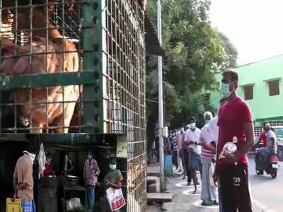 ஞாயிற்றுக்கிழமை ஊரடங்கு: இன்றே கோவை கறிக்கடைகளில் கூட்டம்!