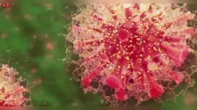 કોરોનાનો ડબલ મ્યુટન્ટ વાયરસ વધુ 3 પ્રકારમાં વહેંચાયો, વૈજ્ઞાનિકોએ આવું કેમ કહ્યું સમજીએ