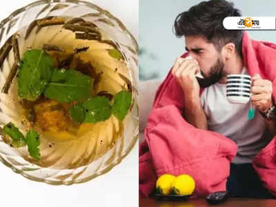 Home remedies: প্রচণ্ড গরমে সর্দি-কাশিতে জেরবার? জেনে নিন ঘরোয়া প্রতিকার