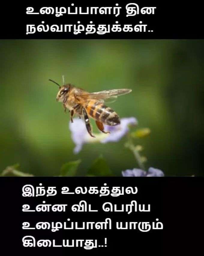 மே 1: உழைப்பாளர் தினம் வாட்சப் ஸ்டேட்டஸ், வாழ்த்து செய்தி போட்டோஸ்!