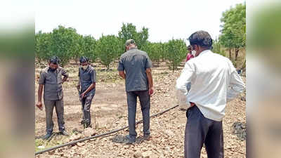 शेतात सापडलेला जुना हातबॉम्ब तरुणाने जमिनीवर आपटला आणि...