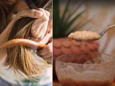 Split Ends Hair Treatment दुभंगलेल्या केसांमुळे आहात त्रस्त? स्वयंपाकघरातील या ५ गोष्टी ठरतील अतिशय उपयुक्त