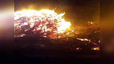 अमरावती: बेलोरा गावात रात्री दीड वाजता अचानक आगडोंब उसळला आणि...
