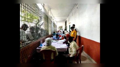 Prayagraj Panchayat Election Result LIVE: प्रयागराज पंचायत चुनाव रिजल्ट, जानिए कौन जीता, कौन हारा