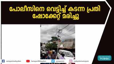 പോലീസിനെ വെട്ടിച്ച് കടന്ന പ്രതി ഷോക്കേറ്റ് മരിച്ചു