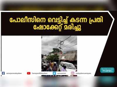 പോലീസിനെ വെട്ടിച്ച് കടന്ന പ്രതി ഷോക്കേറ്റ് മരിച്ചു