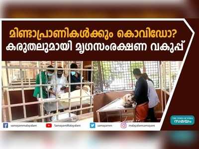 മിണ്ടാപ്രാണികള്‍ക്കും കൊവിഡോ? കരുതലുമായി മൃഗസംരക്ഷണ വകുപ്പ്