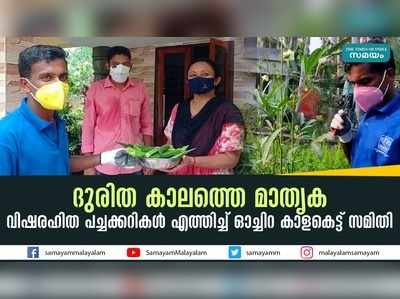 ദുരിത കാലത്തെ മാതൃക; വിഷരഹിത പച്ചക്കറികൾ എത്തിച്ച് ഓച്ചിറ കാളകെട്ട് സമിതി